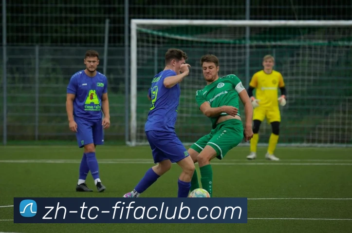 世界杯买球平台生态图