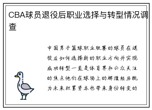 CBA球员退役后职业选择与转型情况调查
